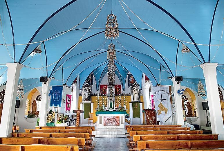 E-Bike tour of Rotoava & the North shore